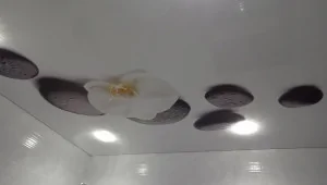 С фотопечатью